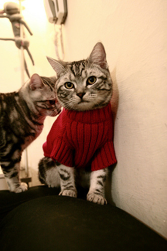 开云中国大陆-_新颖场地设计：未来感十足的高科技球场_，科幻篮球场