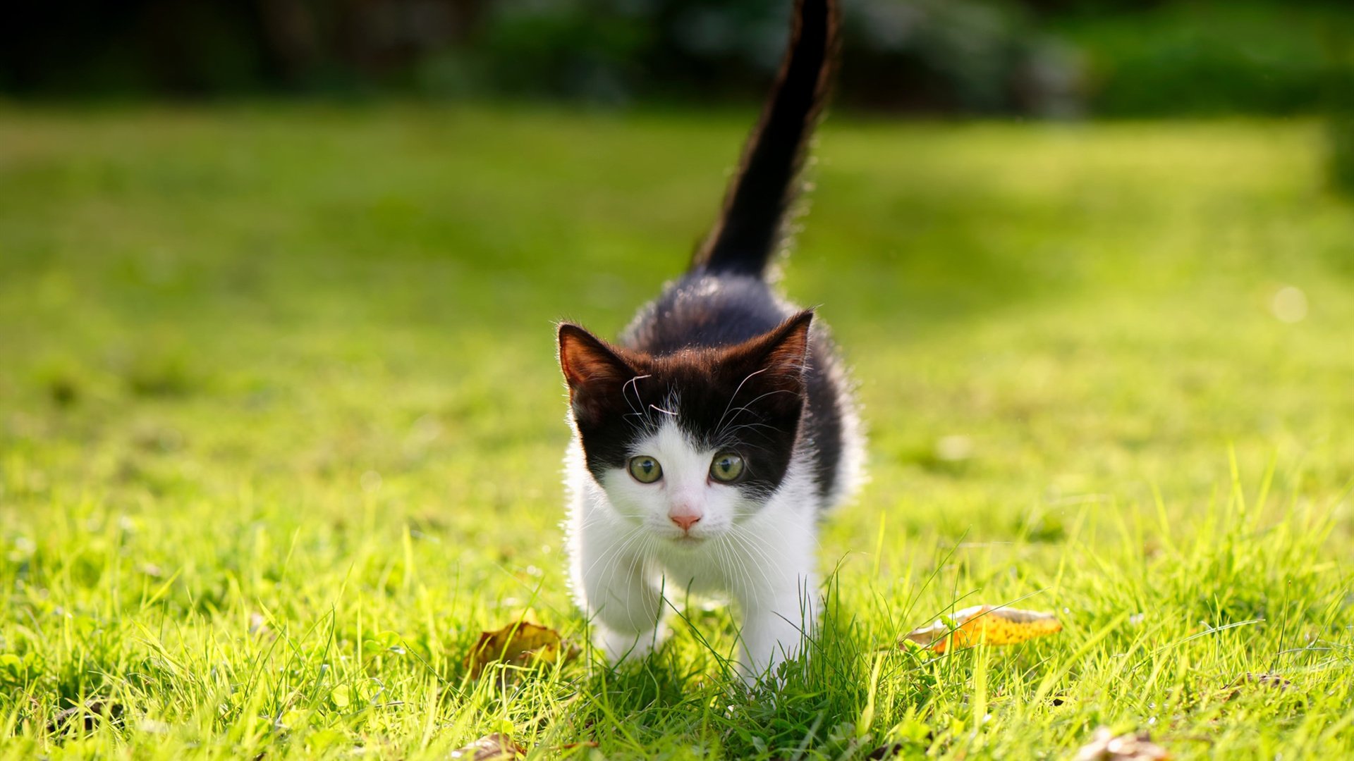 《Uzi:劈波斩浪,从未止步的电竞梦想》