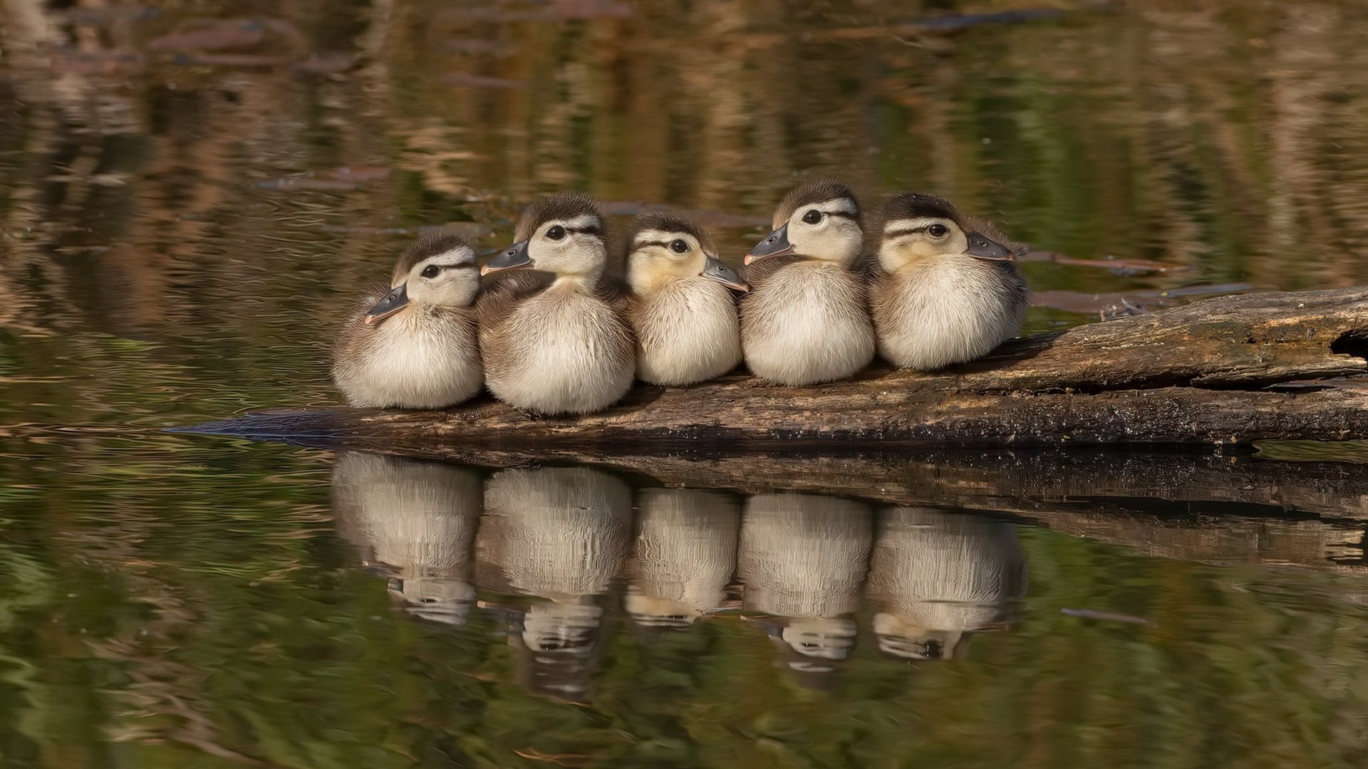 kaiyun官方网站-【跑垒技巧全解析】何时选择“冒险跑垒”最为明智？，跑垒技术