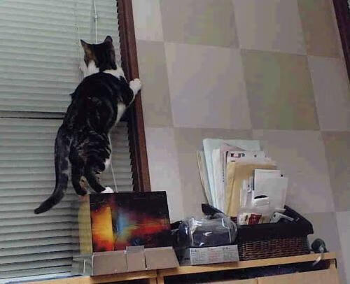 乌拉圭男足在巴黎奥运会比赛中表现出色，赢得奖品，乌拉圭足球冠军