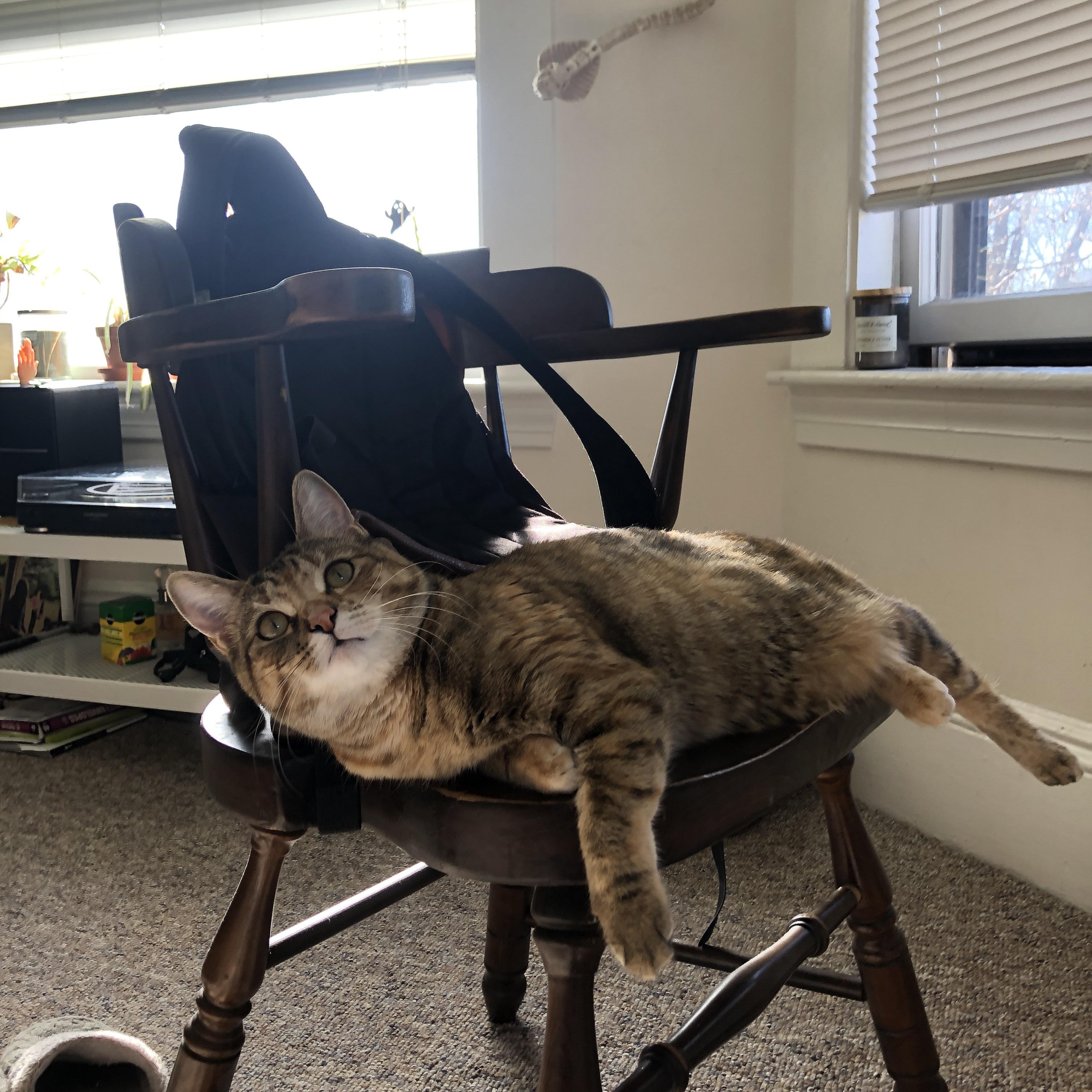 今年联盟得分最多的五位超级巨星都有哪些?,全联盟得分最高