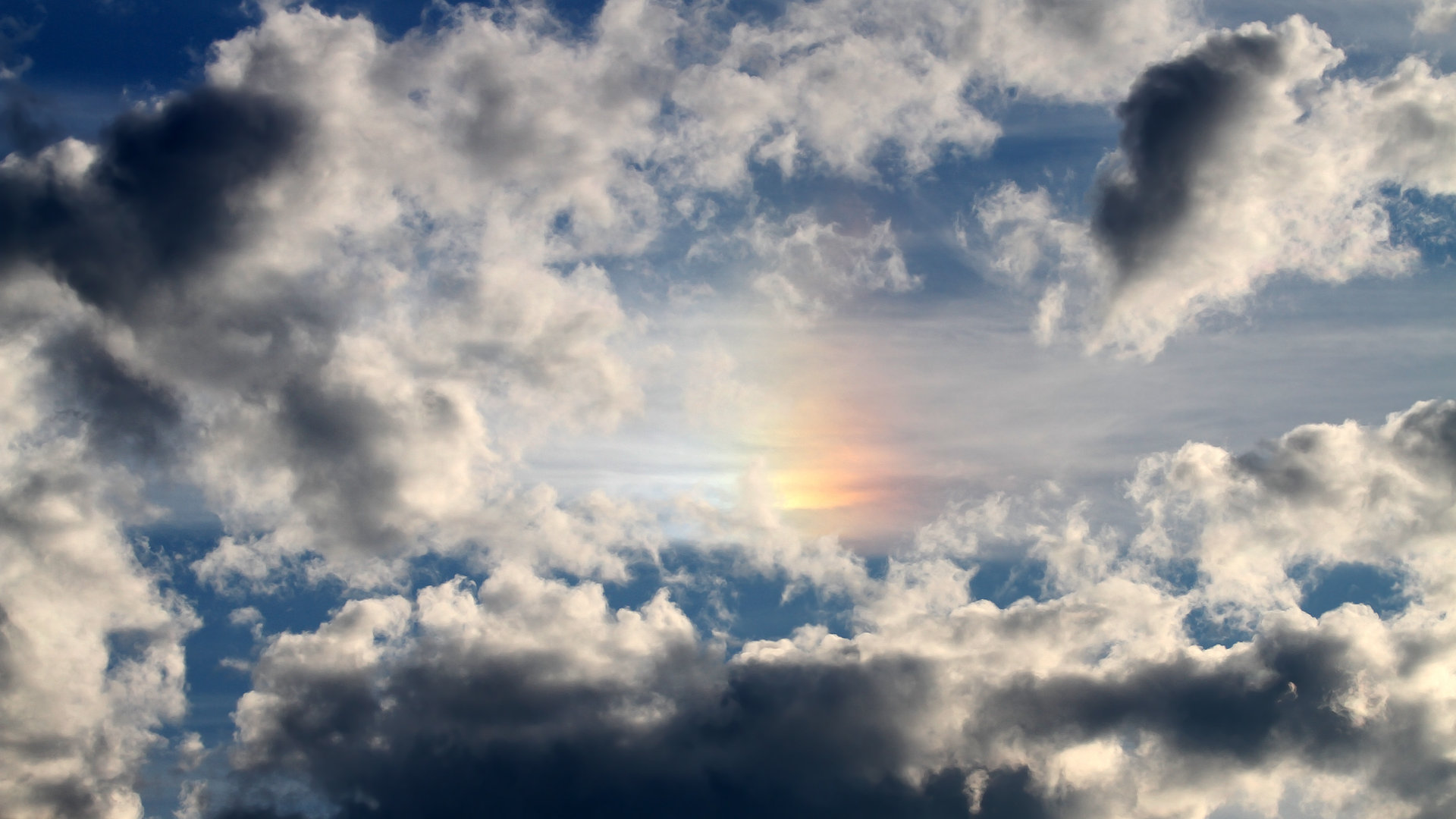 全国青少年“绿色篮球”环保赛事在哈尔滨隆重展开，践行可持续发展