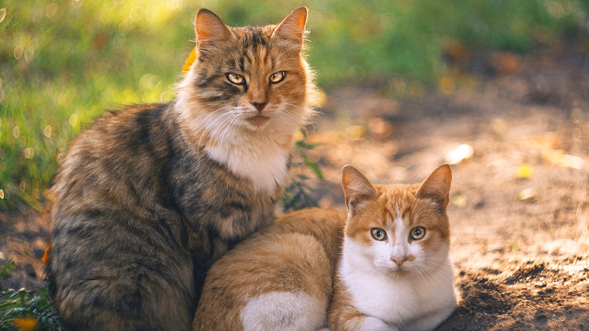 法甲收官大战，比分2-2，比赛亮点：场上成功断球率高达77%，射门转化率53%