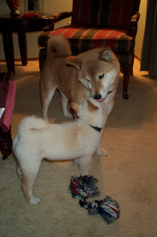 Kaiyun(中国)开云-裁判争议再升级：几场焦点战裁决引发巨大争议，裁判立场