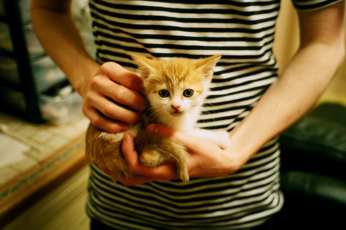 开云官网-评论员指出中超联赛存在的问题，中超评球