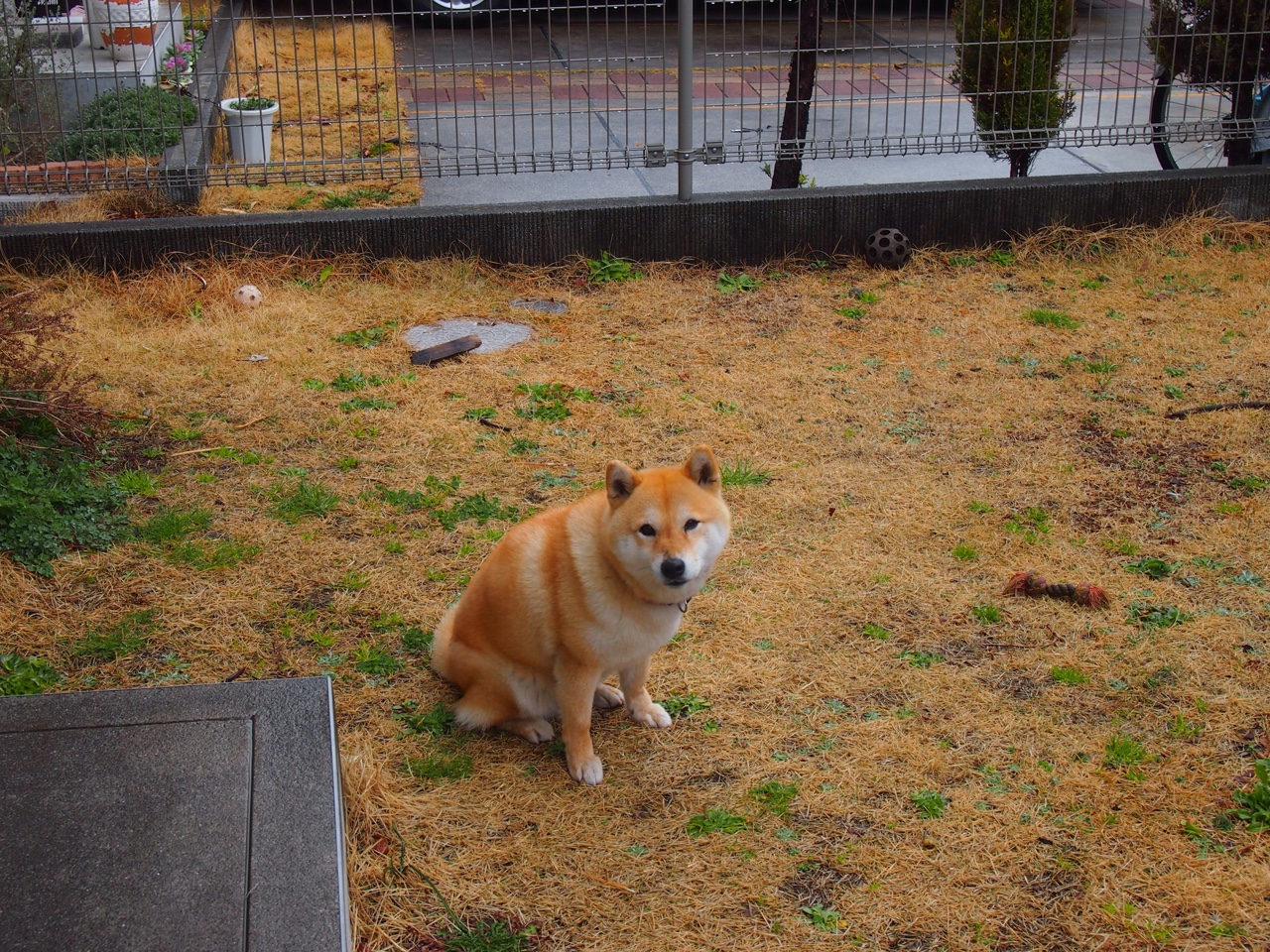 开云·Kaiyun网页版-马戏团运动表演融合，演绎空中飞人的精彩，马戏团动作