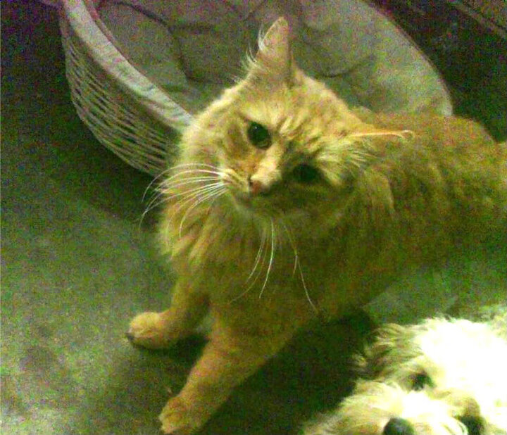 开云官网-亚洲国家队参加世界杯，备战策略谨慎，亚洲入围世界杯