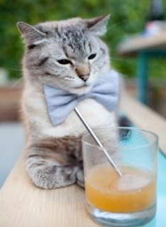 利物浦全队发威，继续领跑积分榜，利物浦积分破纪录