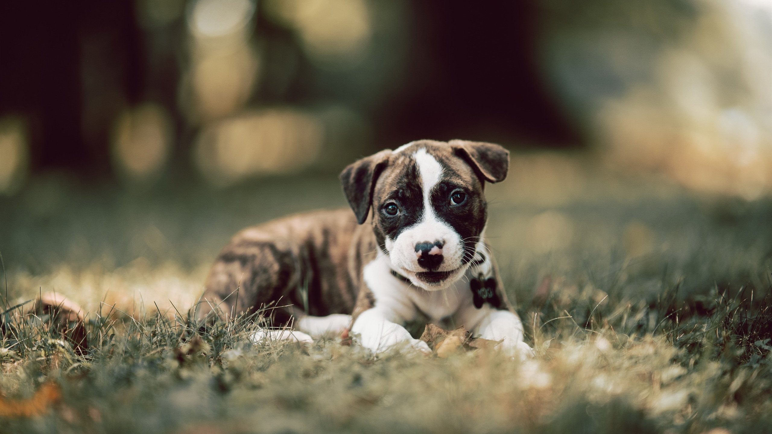 堡垒之夜新地图细节曝光,堡垒之夜新地图细节曝光怎么调