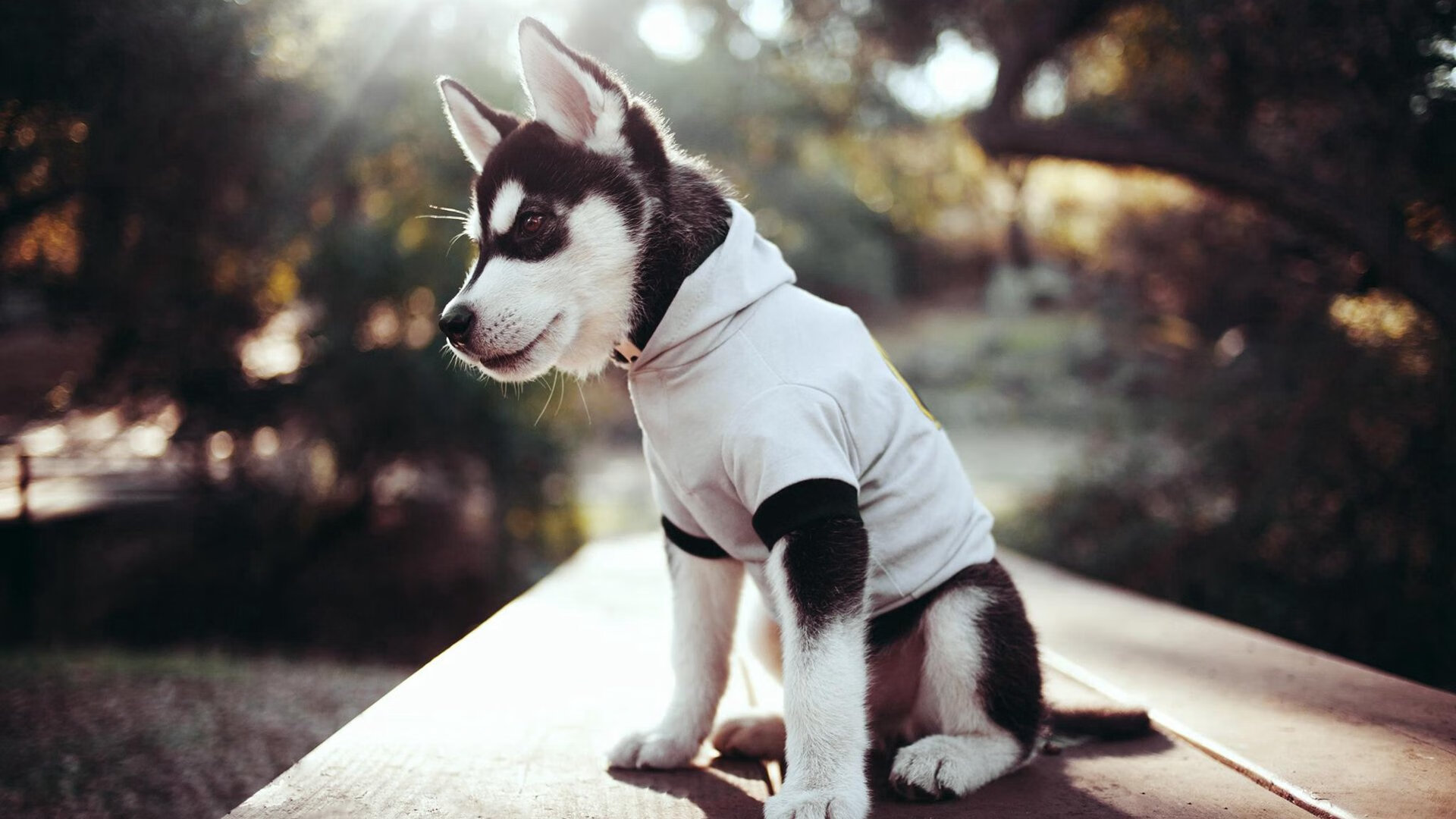 柏林联队客场逆转成功，德甲排名逐渐上升，柏林联合什么时候升的德甲