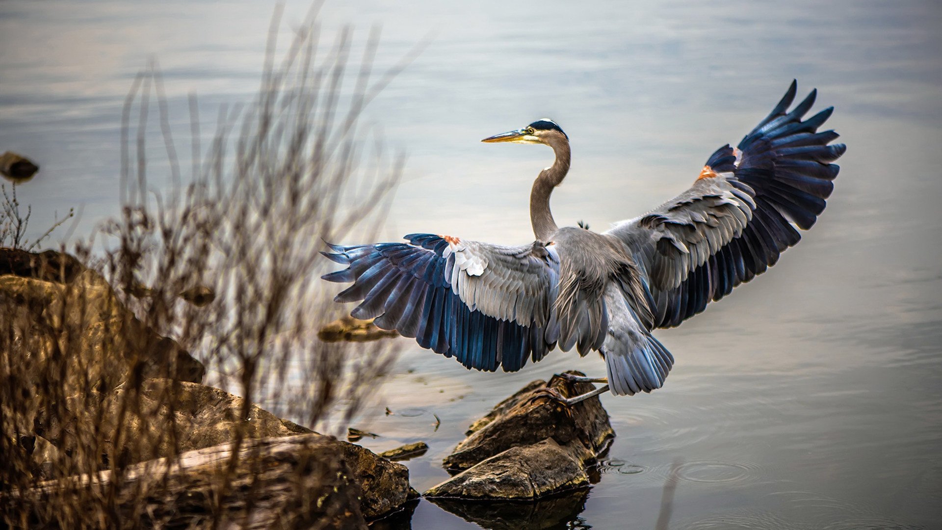 步行者压哨战胜凯尔特人，西部决赛中哈利伯顿创下生涯新高，哈利伯顿投篮
