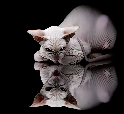 浙江稠州蓝队战胜对手，连续表现出色，浙江稠州男篮队员名单吴前