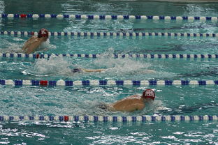 开云·体育官网APP下载-世界短池游泳锦标赛多项世界纪录诞生，第一届世界短池游泳锦标赛