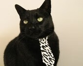 U23 球员在国际赛事中逐渐成为关键人物,u23球员身价暴涨