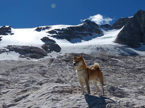 开云·Kaiyun网页版-仰泳配速变化策略显效果，仰泳完整配合的重难点是什么