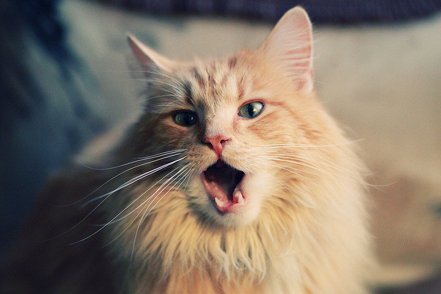 国内训练器材质量提升保障训练安全与效率，训练器材都有什么