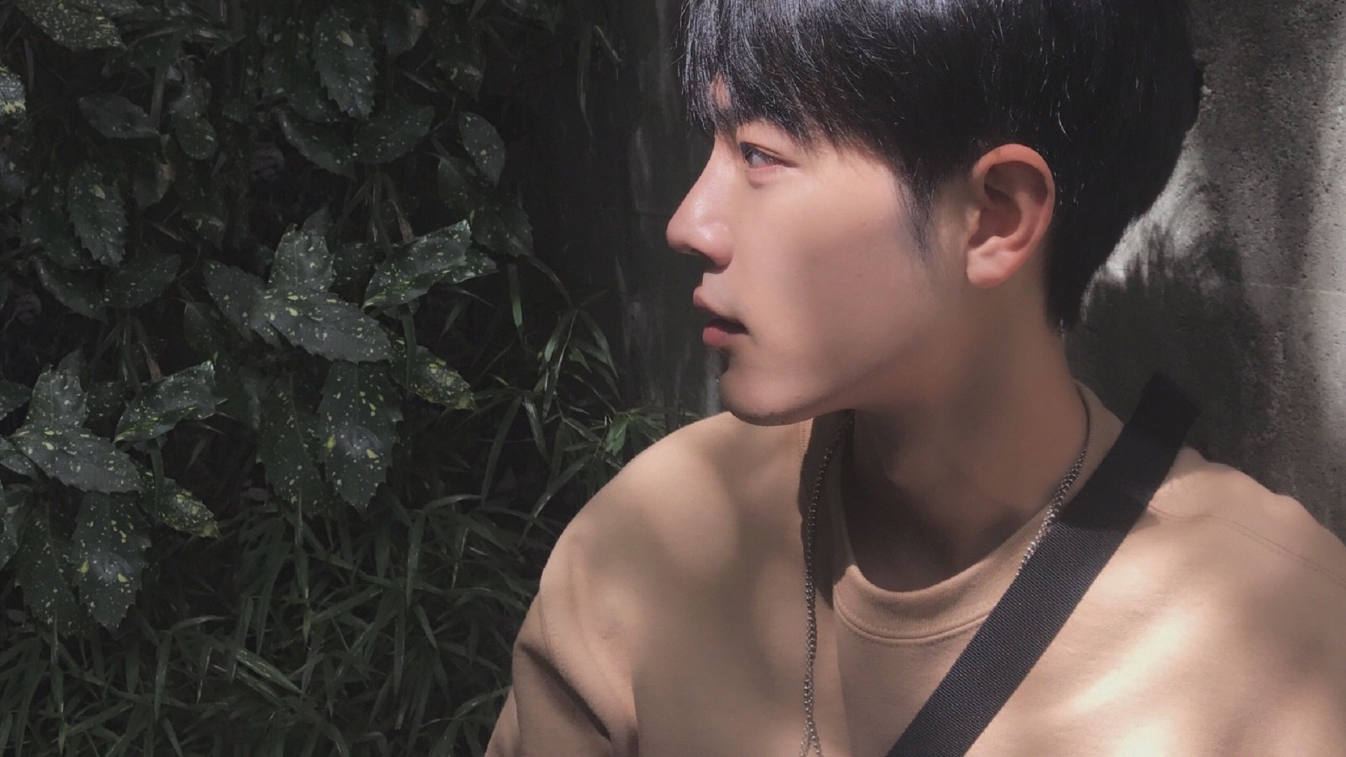 开云官网-弗赖堡站位灵活打出多线推进模式，弗赖堡对多特蒙德比分预测