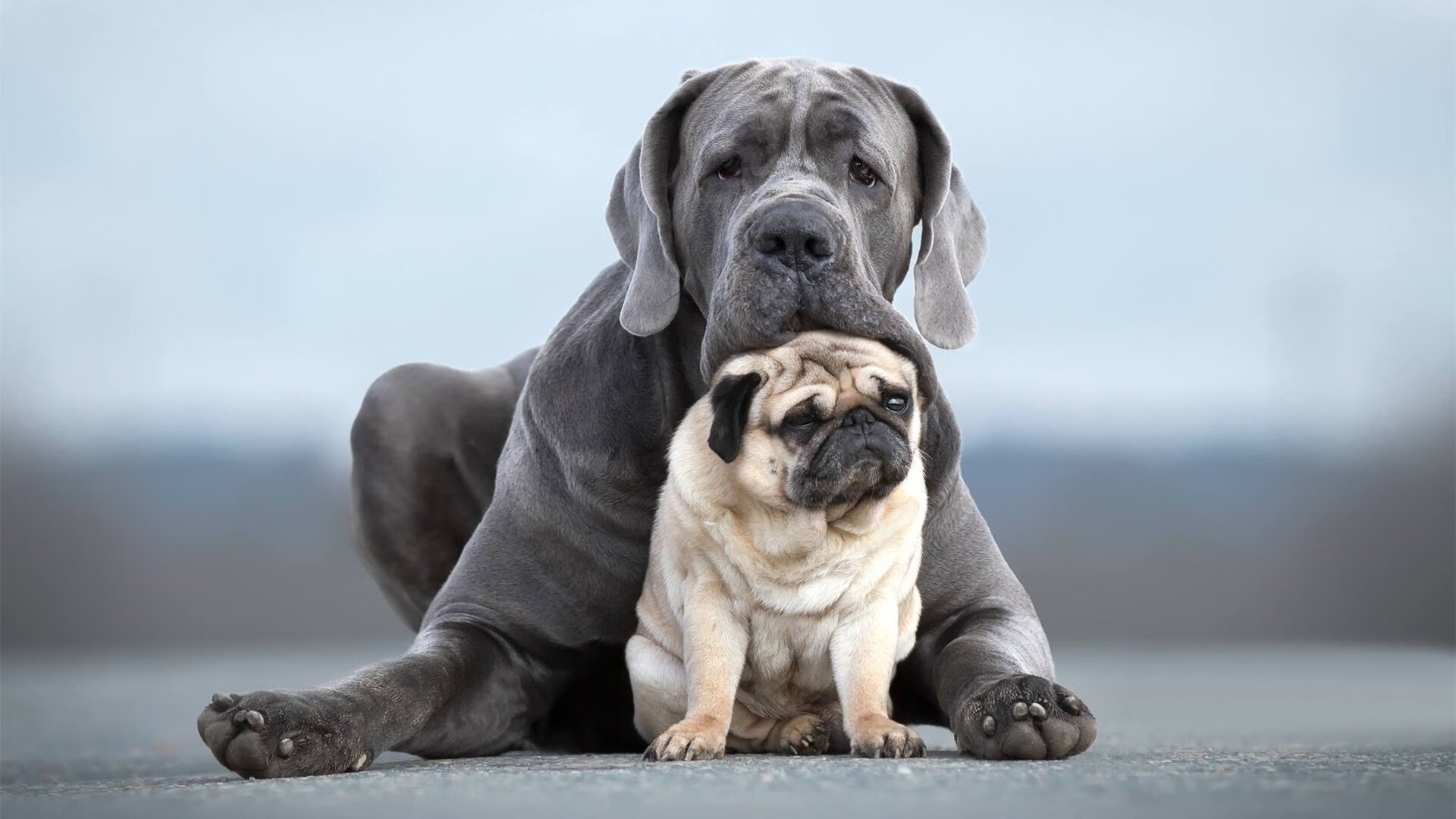kaiyun体育综合-数据显示：中方终段划频提升更明显，中方终于重拳出击,中情局