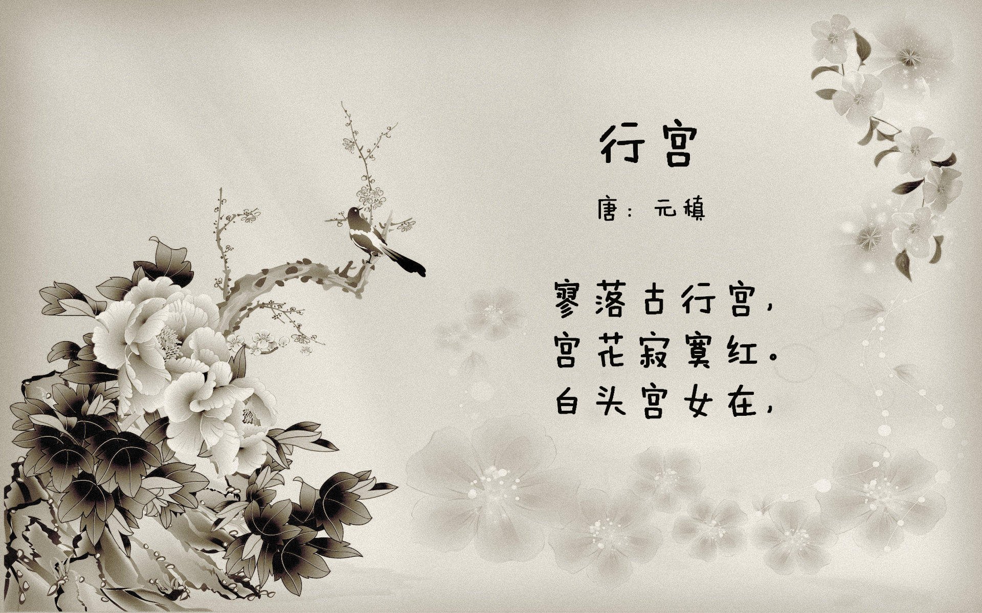 蒙彼利埃持续提升主场作战能力，蒙彼利埃球员名单