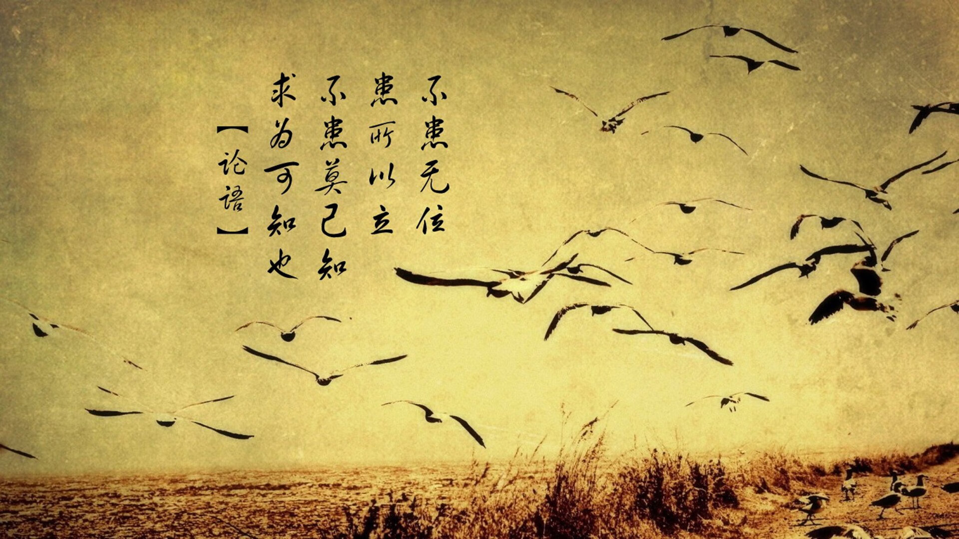 中学篮球队配备战术指导员提升临场反应能力，中学篮球队的战术训练应以什么为主