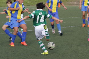 kaiyun网站-国家体育场运营中心发布暑期开放时间公告，国家体育场百度百科