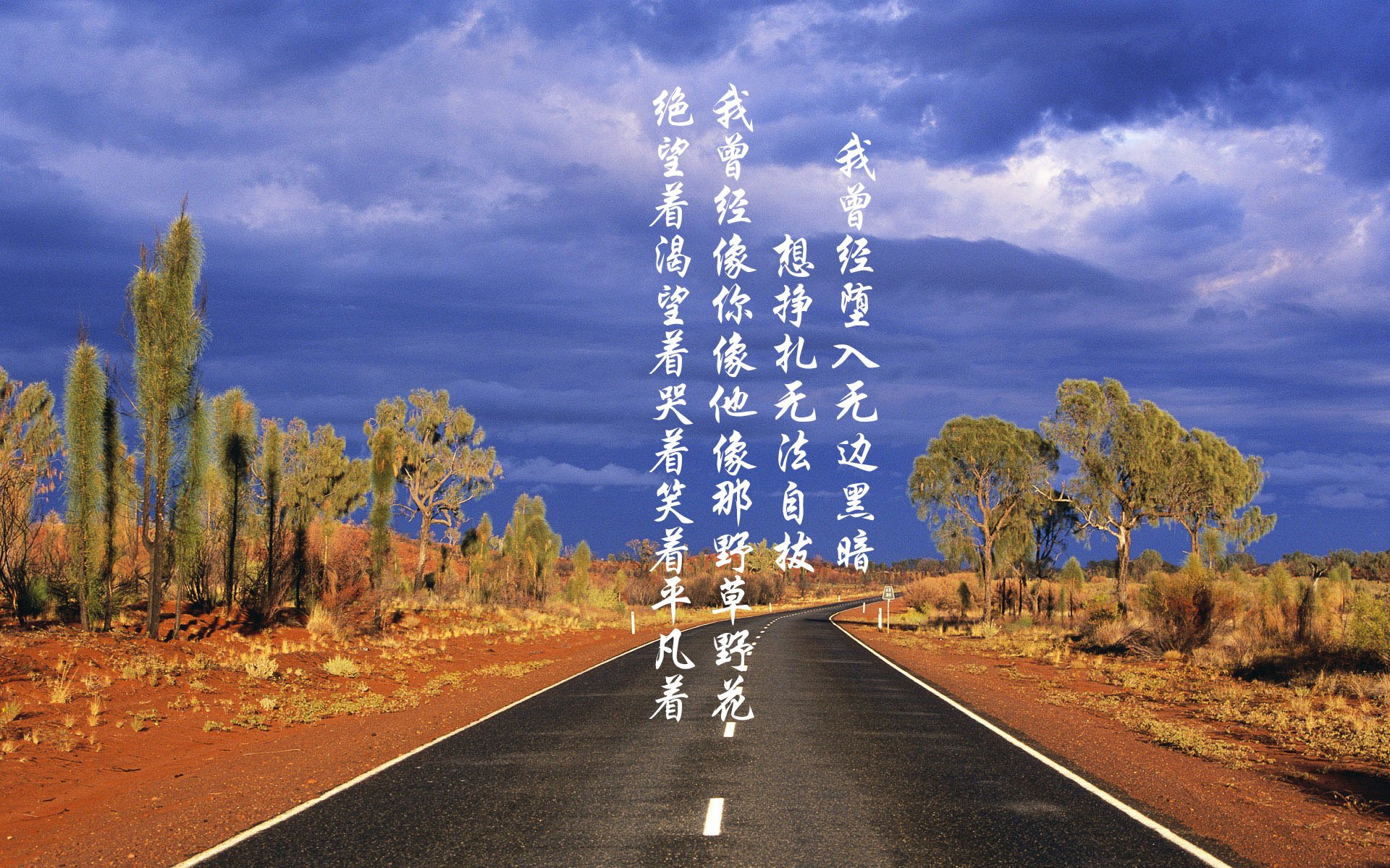 塞尔维亚男篮在欧洲预赛中奋勇期待，冲击奥运荣誉不断前行，塞尔维亚男子足球队欧洲杯