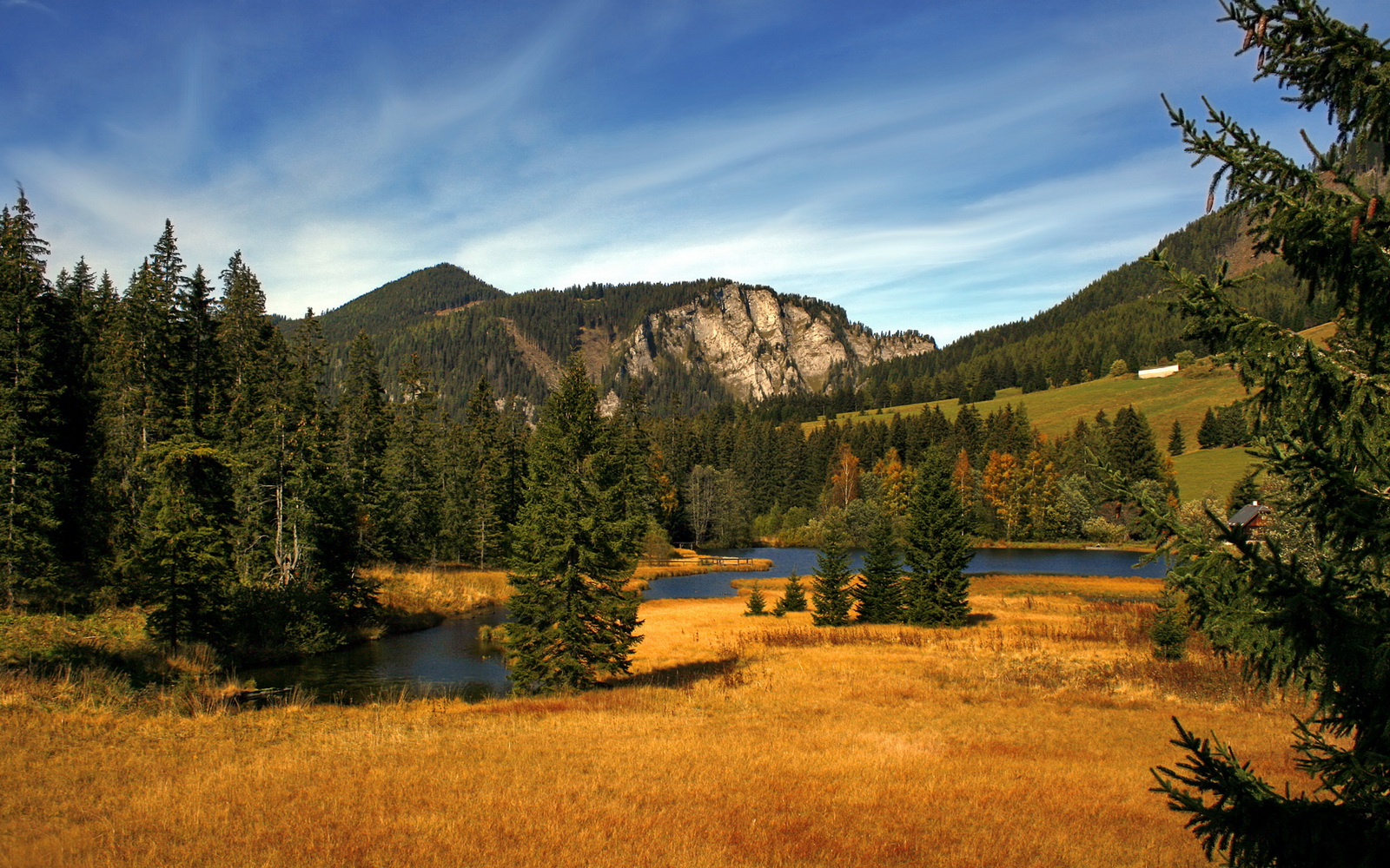 女子足球加快青训融合进程实现从校园到职业直通，青少年女子足球队