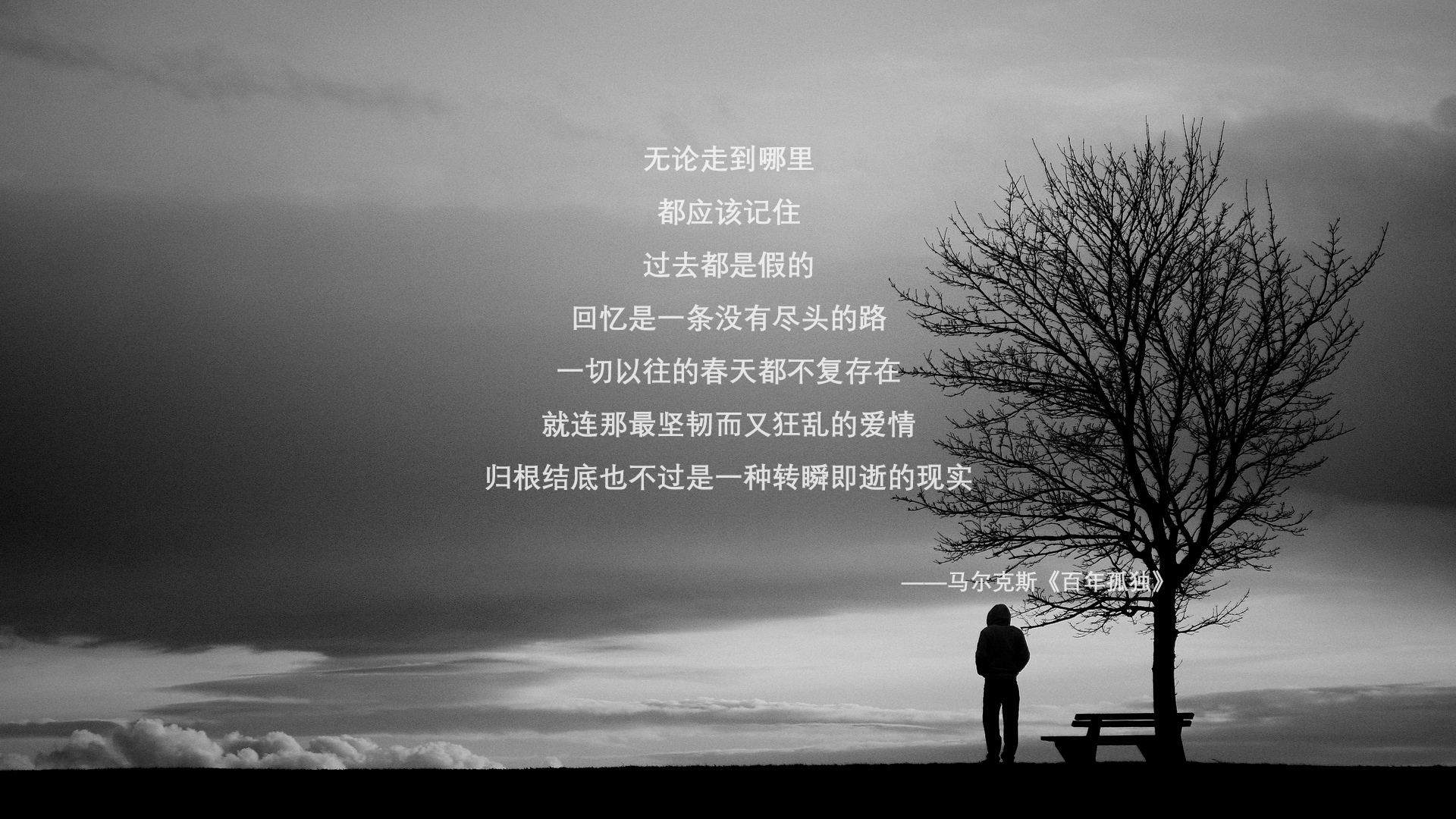 法国橄榄球的影响力逐步扩展,成为全球赛事焦点,法国top14橄榄球联赛