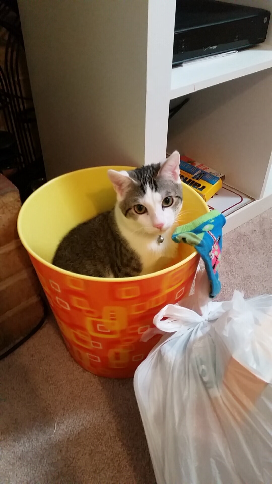 kaiyun官方入口登录-英格兰橄榄球推广乡村发展模式，英格兰橄榄球超级联赛球队