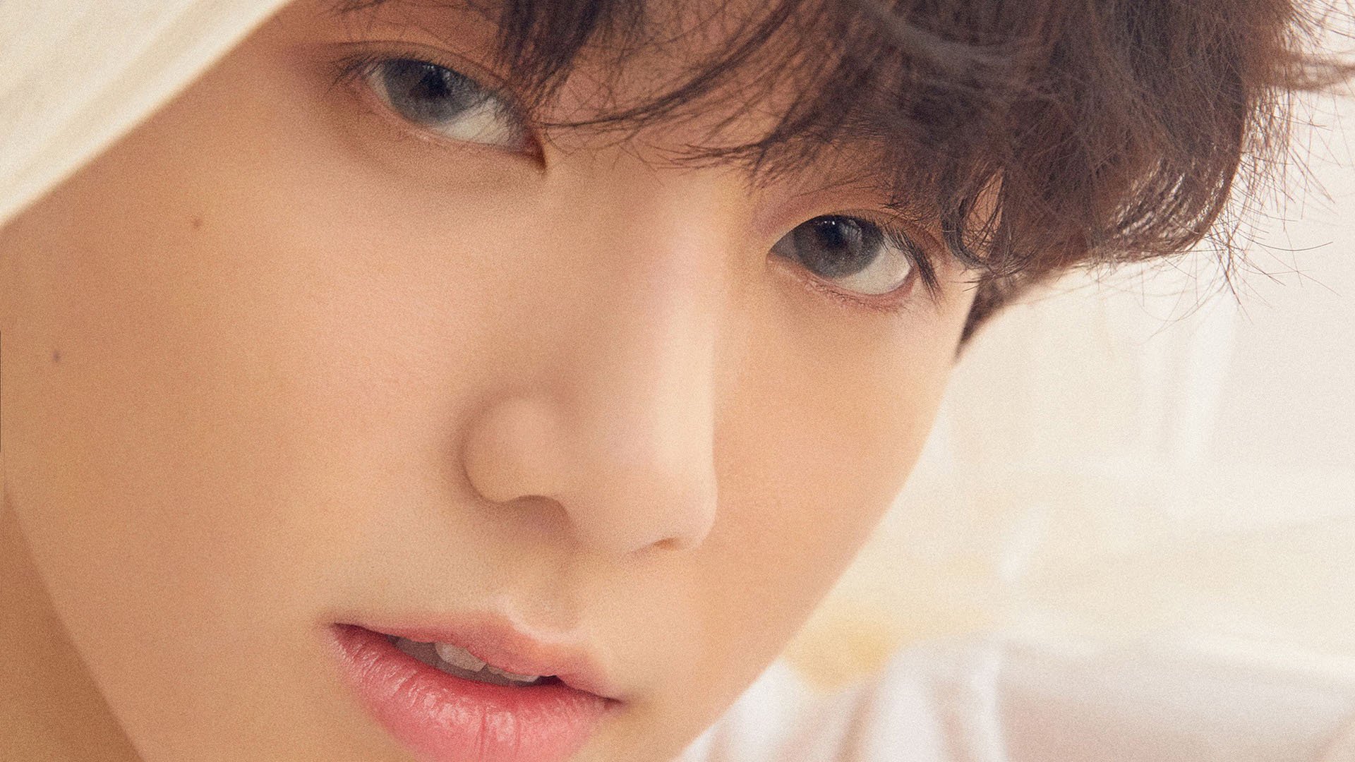 苏格兰橄榄球新政策支持下,全面发展未来潜力,苏格兰踢球怎么样