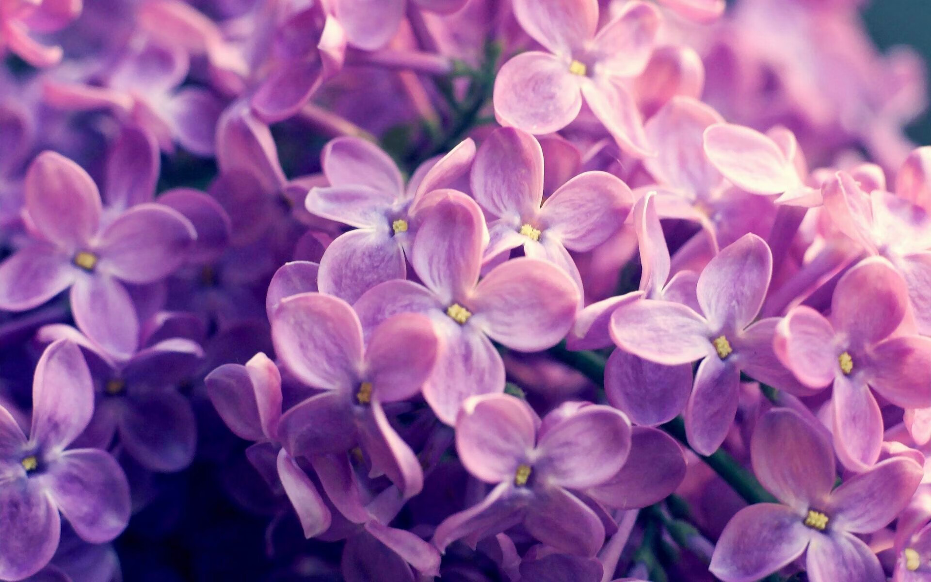 kaiyun中国官方网站-英超终极冲刺：激情澎湃，精彩不止！，英超精华集锦2021